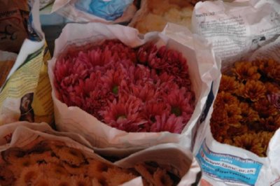 COMERCIO - FLOR (8)